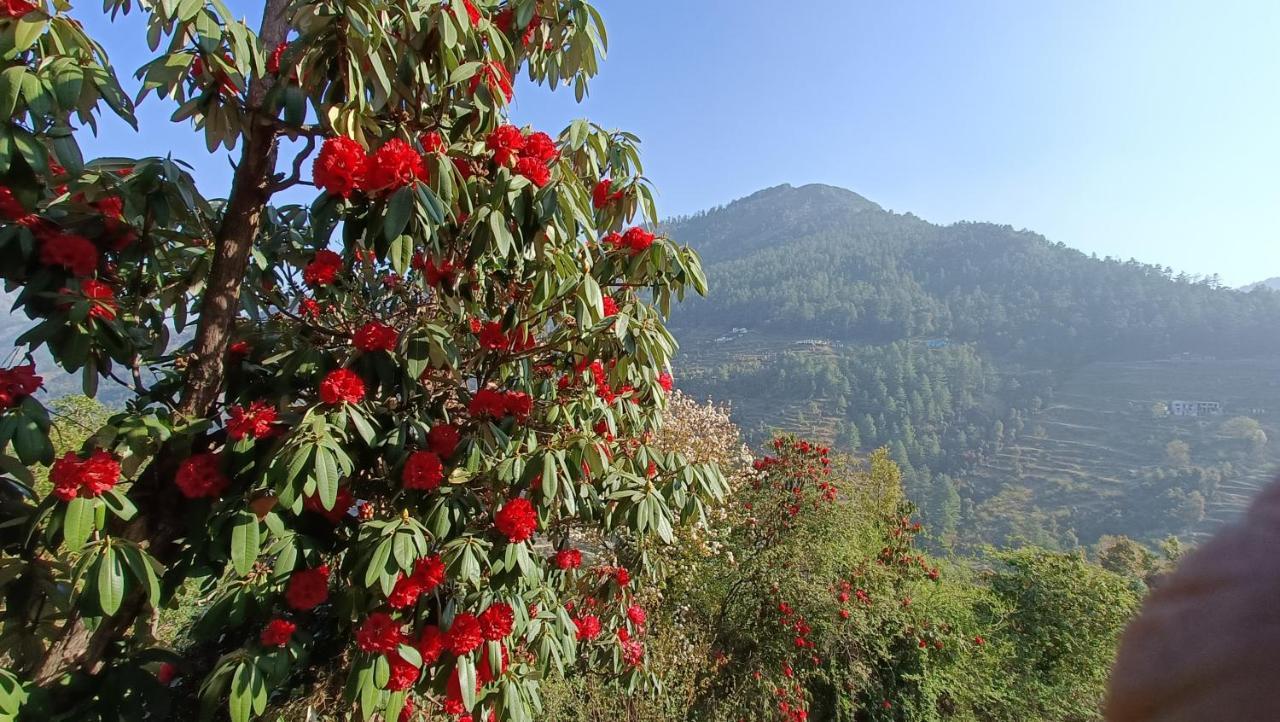 Chiraiyya Cottage Pangot Nainital Exterior photo